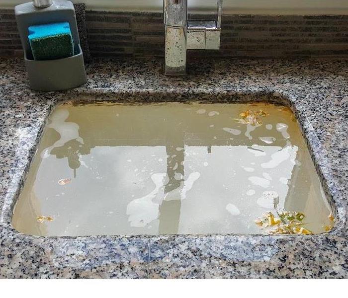 A clogged kitchen sink.