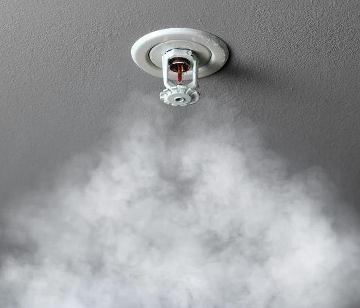 Smoke triggering fire alarm sprinkler system
